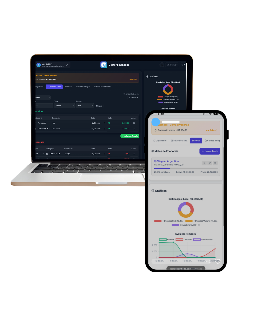 Ferramenta de Gestão Financeira